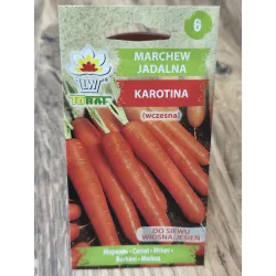 Marchew jadalna Karotina Marchew jadalna Karotina